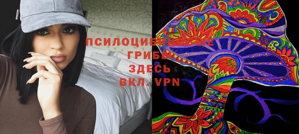 прущая мука Белокуриха