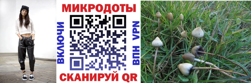 купить закладку  Кушва  Псилоцибиновые грибы мухоморы 