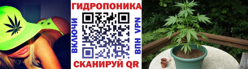сколько стоит  Кушва  Марихуана OG Kush 